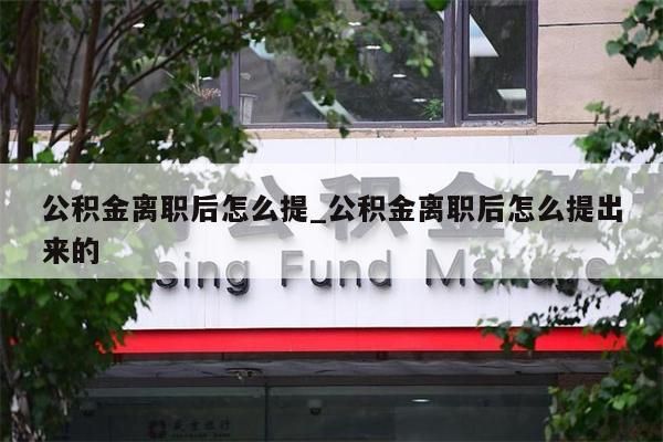 公积金离职后怎么提_公积金离职后怎么提出来的